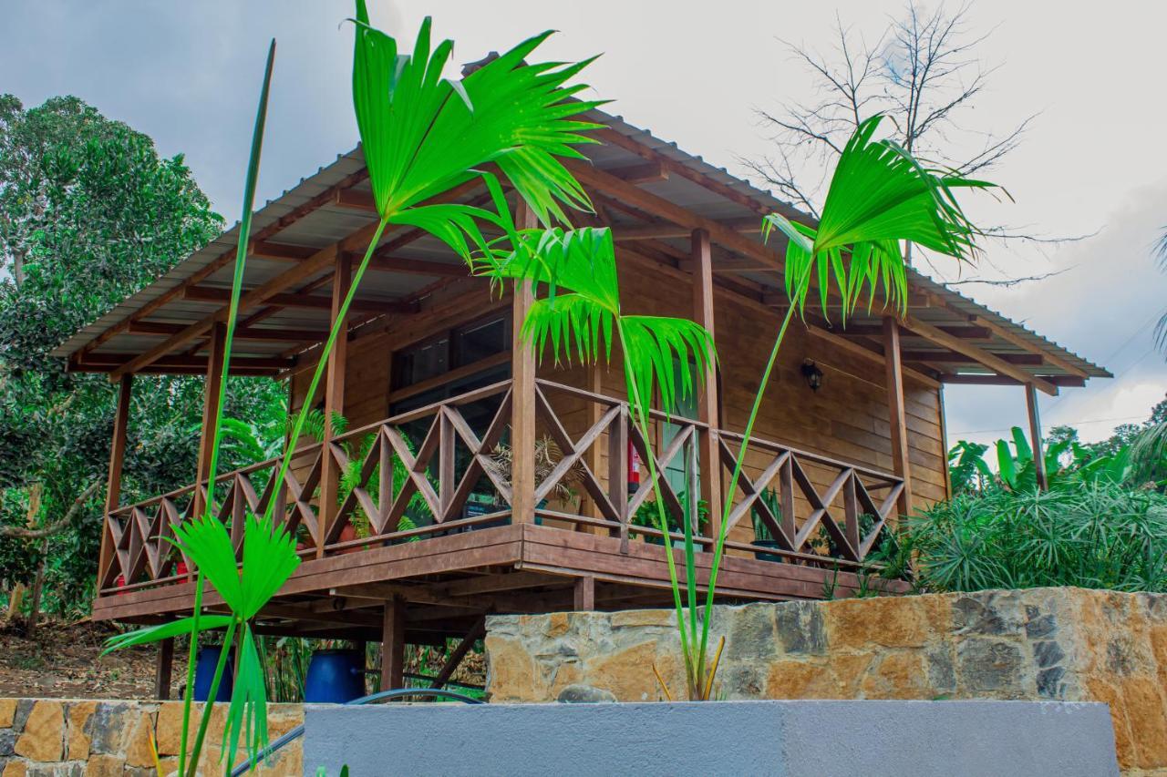 Eden Valley Ecolodge And Farming Madalena Exterior photo