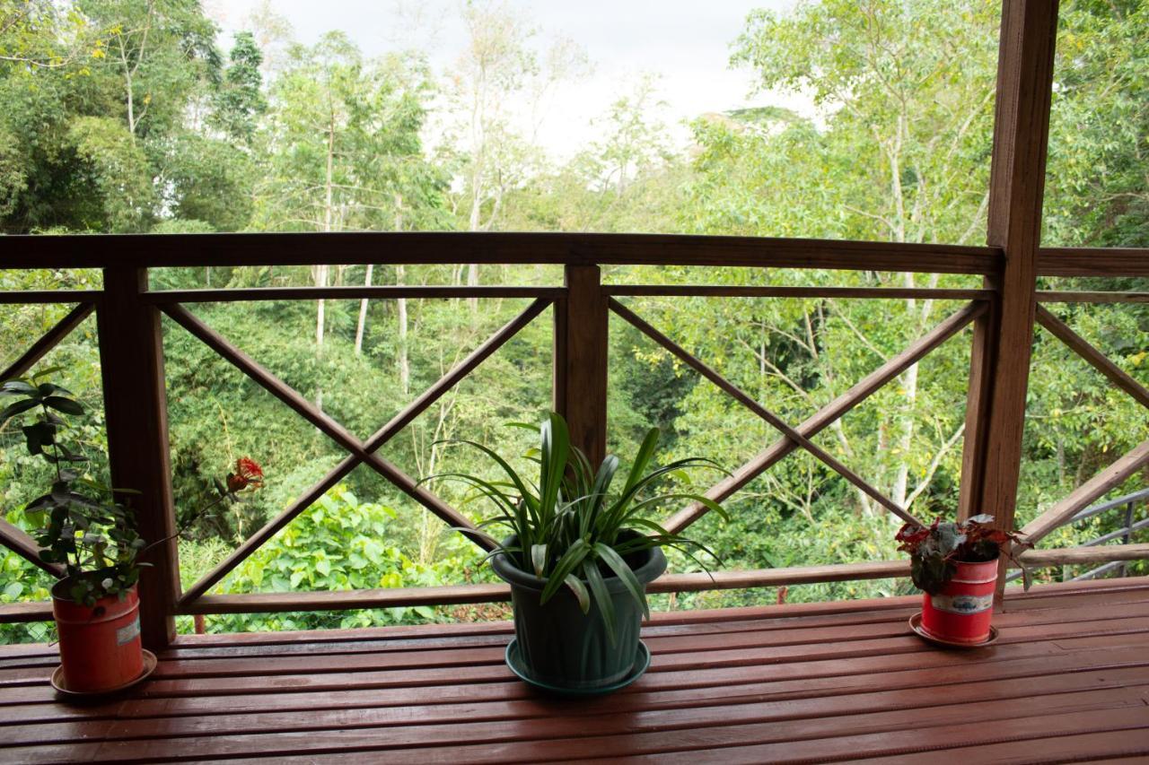 Eden Valley Ecolodge And Farming Madalena Exterior photo
