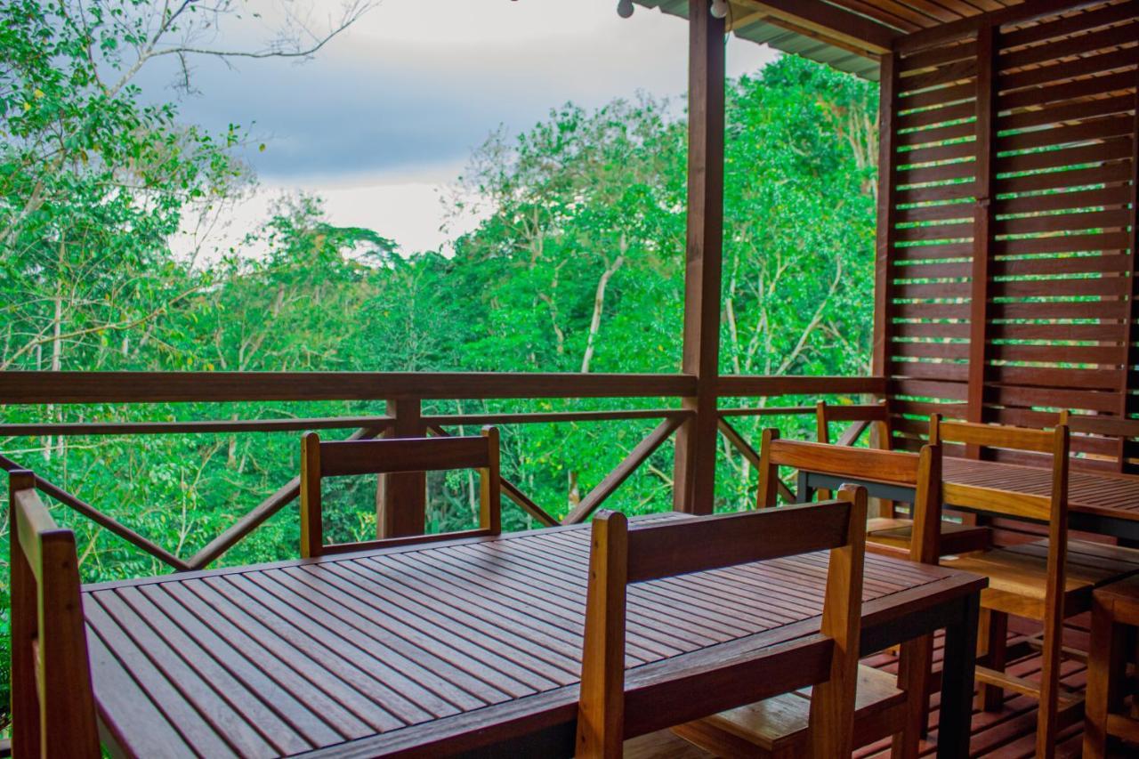 Eden Valley Ecolodge And Farming Madalena Exterior photo
