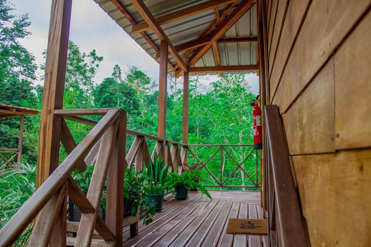 Eden Valley Ecolodge And Farming Madalena Exterior photo