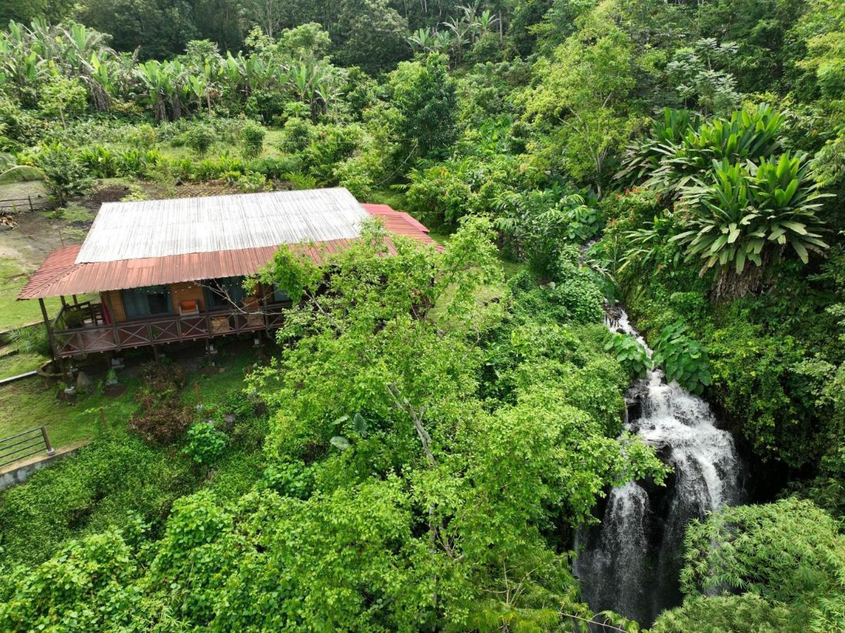 Eden Valley Ecolodge And Farming Madalena Exterior photo