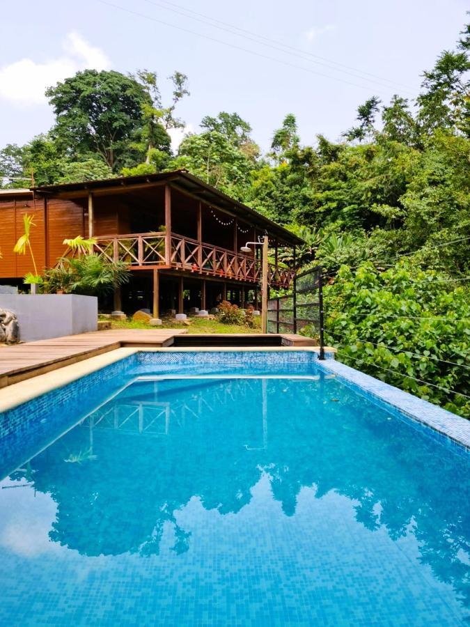Eden Valley Ecolodge And Farming Madalena Exterior photo